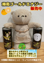 湘南ゴールドエナジー