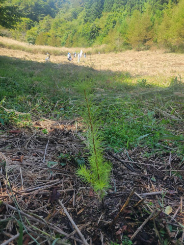 LINE_ALBUM_20260919植樹祭_260924_2.jpg