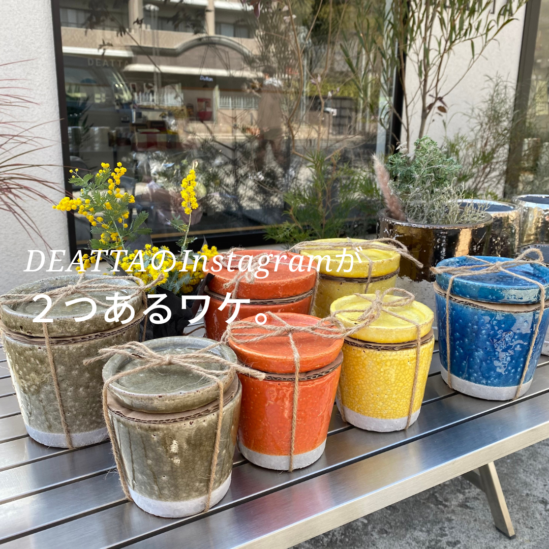 【DEATTA】Instagramが