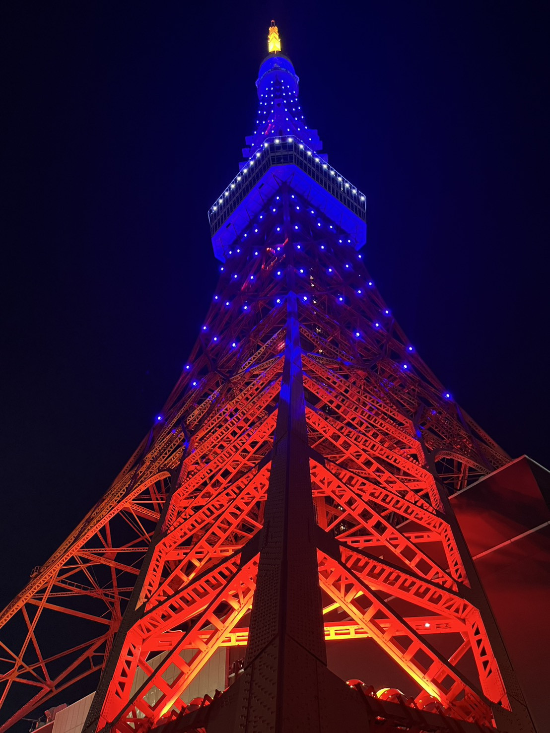 S__210976817_0.jpg
