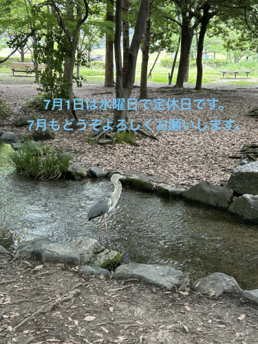 IMG_6616.jpeg