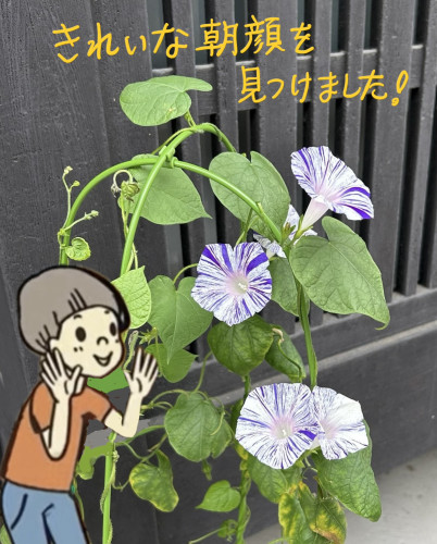IMG_3363.jpeg