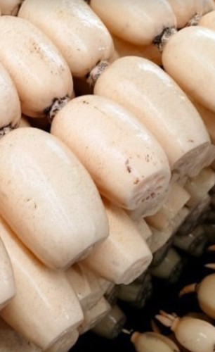 年末・年始の食材を産直でご提案🍱