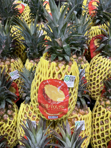 台湾パイナップル🍍販売中