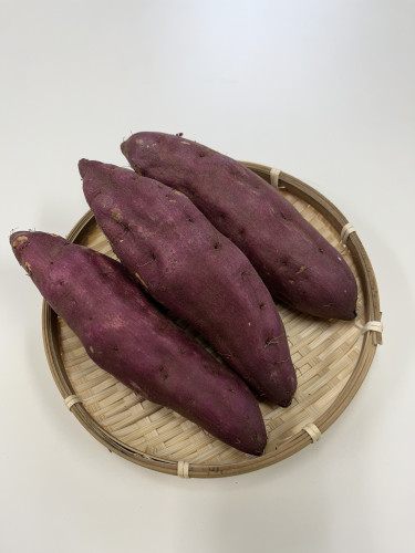 さつまいも🍠 は熟成派or新芋派？