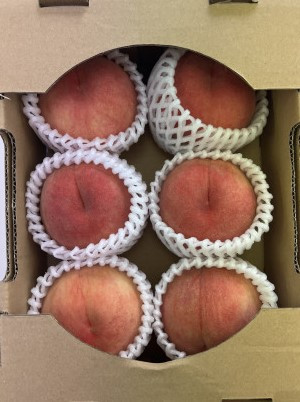 桃の出荷が始まっております🍑