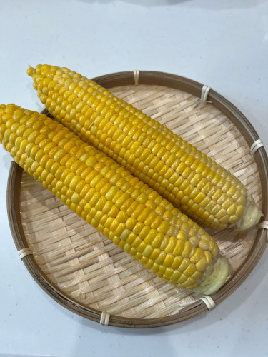 産地直送で早朝から収穫したとうもろこし🌽を出荷中です