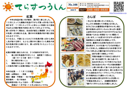 てらす通信_2025年    166号   11月発行.jpg