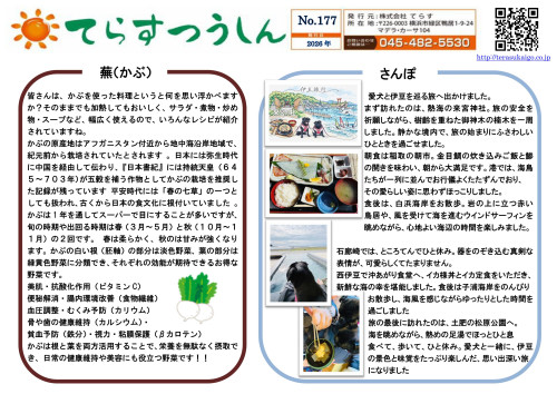 てらす通信_2026 177号