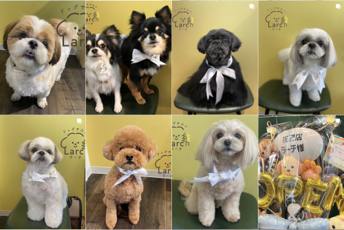 スクリーンショット 2026-02-04 13.12.07.png