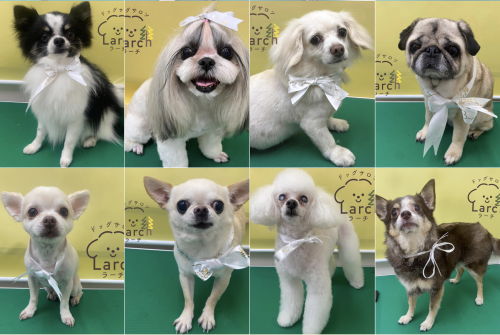 スクリーンショット 2026-02-04 13.12.34.png