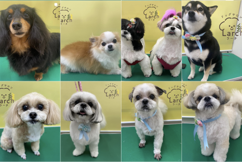 スクリーンショット 2026-02-04 13.13.29.png