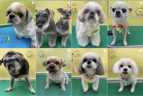 スクリーンショット 2026-02-04 13.14.16.png