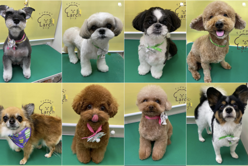 スクリーンショット 2026-02-04 13.16.22.png