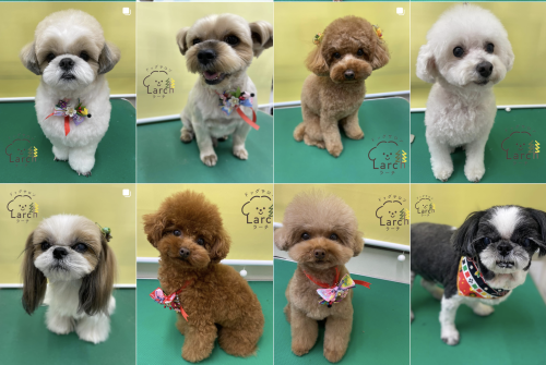 スクリーンショット 2026-02-04 13.21.10.png