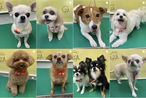 スクリーンショット 2026-02-04 13.21.33.png