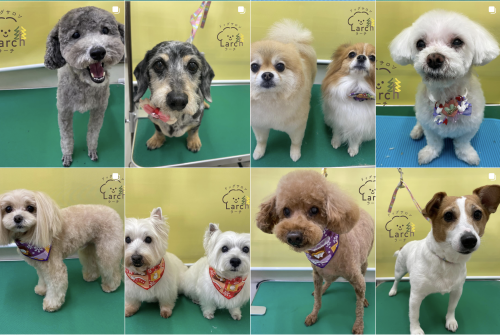 スクリーンショット 2026-02-04 13.21.56.png