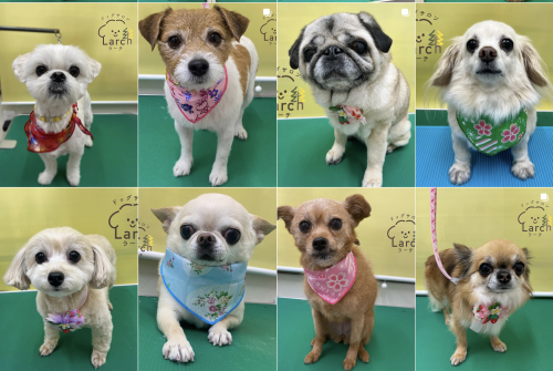 スクリーンショット 2026-02-04 13.22.32.png