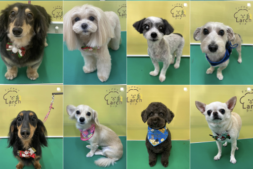 スクリーンショット 2026-02-04 13.24.46.png