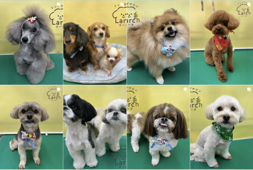 スクリーンショット 2026-02-04 13.50.07.png