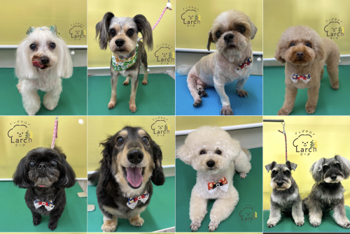 スクリーンショット 2026-02-04 13.51.54.png