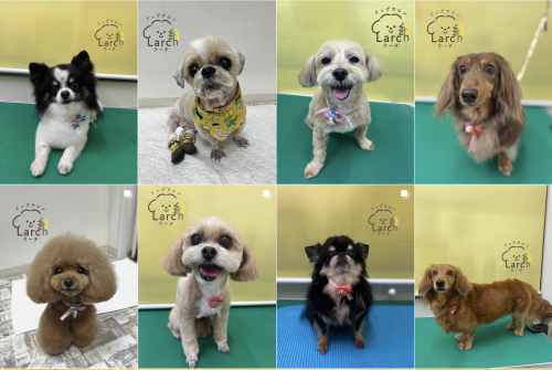 スクリーンショット 2026-02-04 13.52.29.png