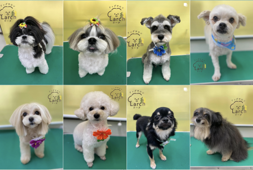 スクリーンショット 2026-02-04 13.53.43.png