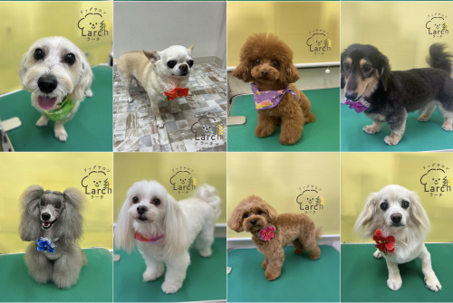 スクリーンショット 2026-02-04 13.53.51.png