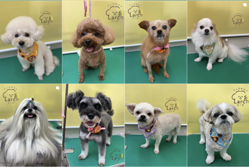 スクリーンショット 2026-02-04 13.54.24.png