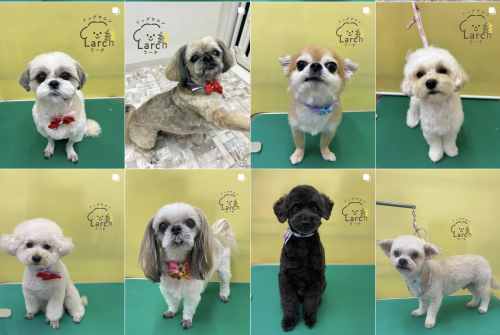 スクリーンショット 2026-02-04 13.55.52.png