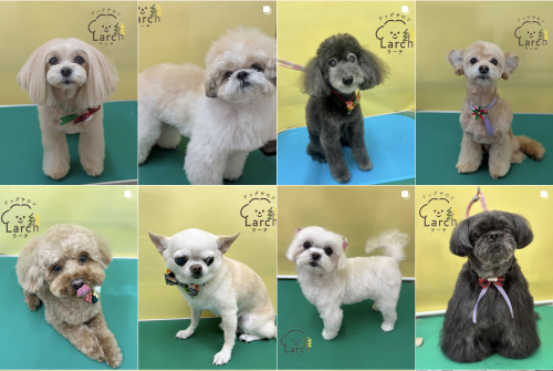 スクリーンショット 2026-02-04 13.56.03.png