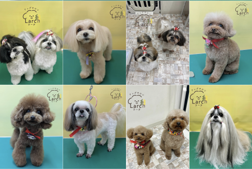 スクリーンショット 2026-02-04 13.56.16.png