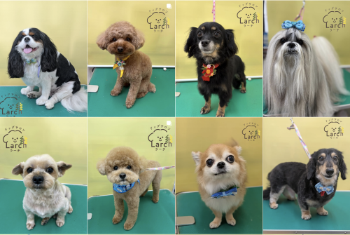 スクリーンショット 2026-02-04 13.56.27.png