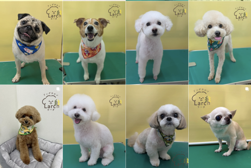 スクリーンショット 2026-02-04 13.56.38.png