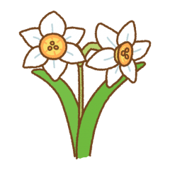 narcissus-520x520.png