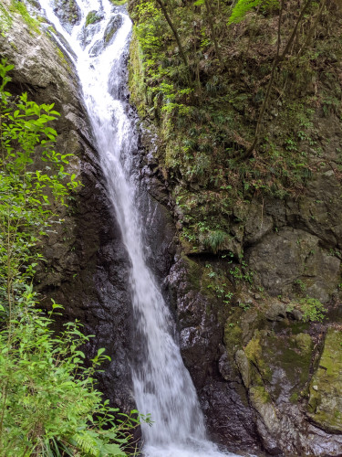 MVIMG_20210512_133519.jpg