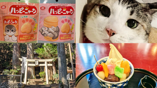 Adobe_Express_20250227_1805370_1.png