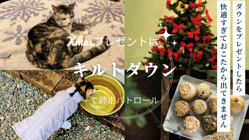 師走_20251205_205836_0000.png