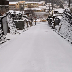 PXL_20230124_215650701.jpg
