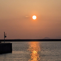 IMG_20230224_174014_220.jpg