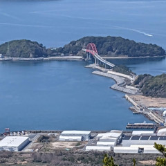 PXL_20230319_023411030.jpg