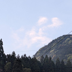 PXL_20230415_204553560.jpg