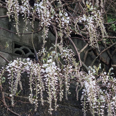 PXL_20230415_205332521.jpg