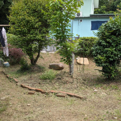 PXL_20230625_044521585.jpg
