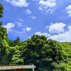 PXL_20230711_015349067-EFFECTS.jpg