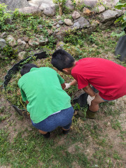 PXL_20230730_000105780.MP.jpg