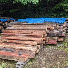 IMG_20240619_222133_340.jpg