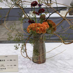 PXL_20240919_011629232.jpg