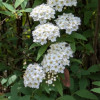 PXL_20250425_040044852.jpg
