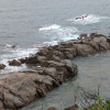 PXL_20250521_042510124.MP.jpg
